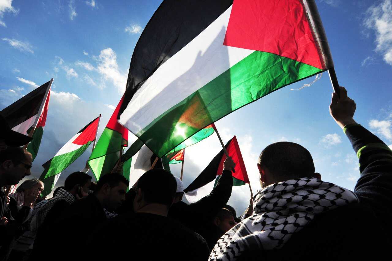 Mengenal Buah dan Sayuran yang Menjadi Simbol Palestina